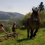 Millerowka Kamionka Mala (Limanowa)