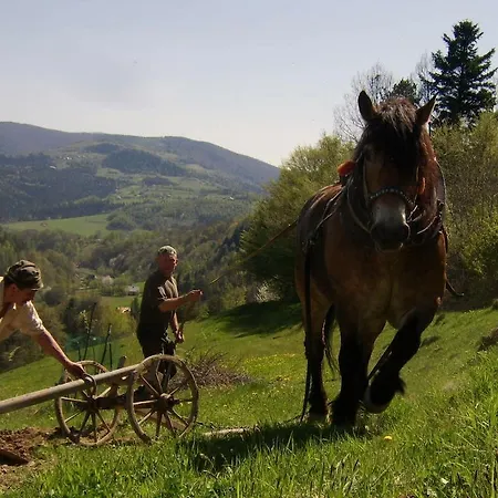 Millerowka Kamionka Mala (Limanowa)