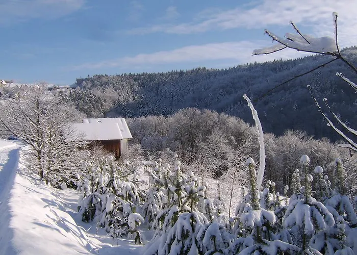 Millerówka Gospodarstwo agroturystyczne *